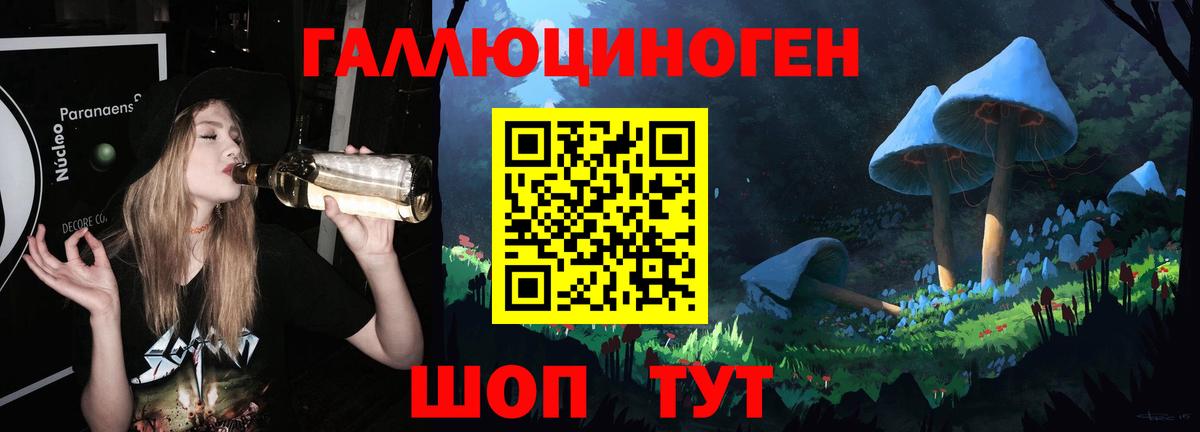 Галлюциногенные грибы GOLDEN TEACHER  Вход с VPN  Галлюциногенные грибы Psilocybine cubensis  Кандалакша 